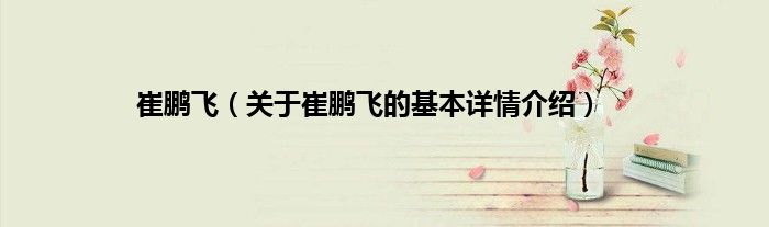 崔鹏飞(关于崔鹏飞的基本详情介绍)