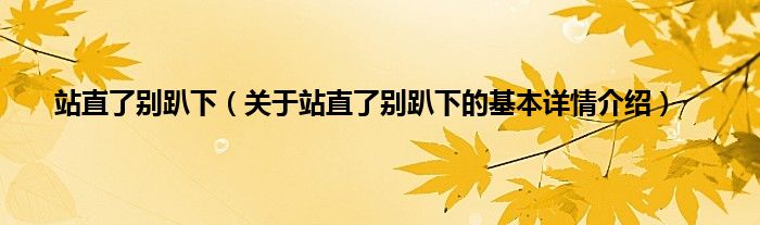站直了别趴下（关于站直了别趴下的基本详情介绍）