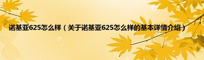 诺基亚625怎么样（关于诺基亚625怎么样的基本详情介绍）