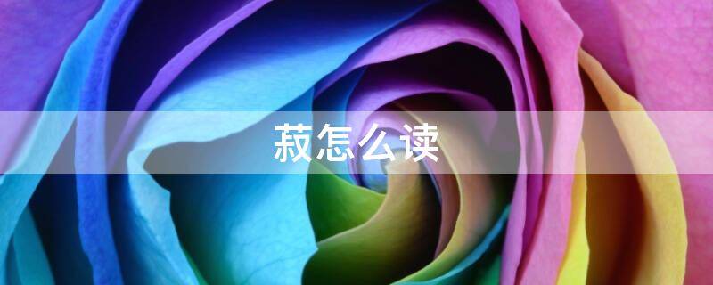 菽怎么读
