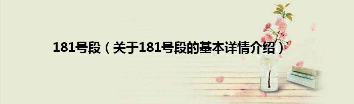 181号段（关于181号段的基本详情介绍）