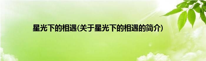 星光下的相遇(关于星光下的相遇的简介)