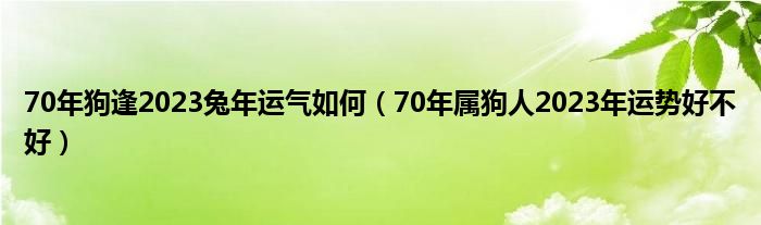 70年狗逢2023兔年运气如何(70年属狗人2023年运势好不好)