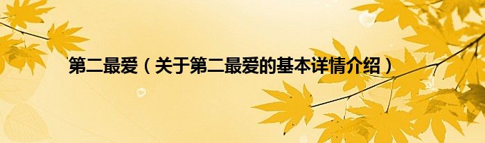 第二最爱（关于第二最爱的基本详情介绍）