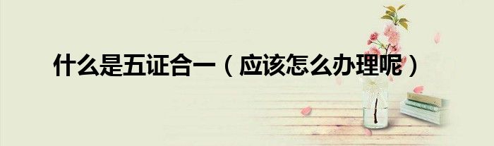 什么是五证合一（应该怎么办理呢）