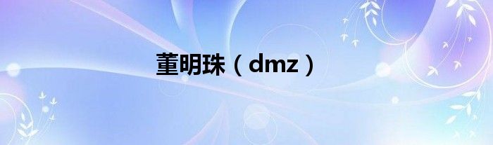 董明珠（dmz）