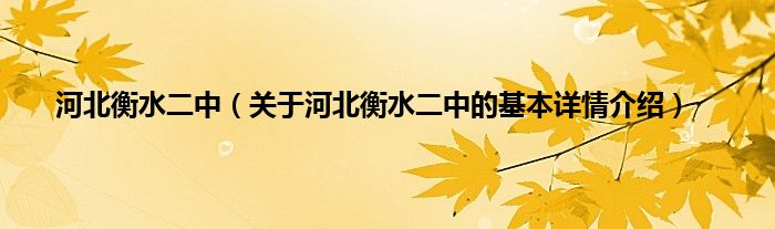 河北衡水二中（关于河北衡水二中的基本详情介绍）