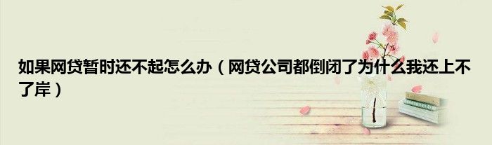 如果网贷暂时还不起怎么办（网贷公司都倒闭了为什么我还上不了岸）