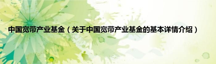 中国宽带产业基金（关于中国宽带产业基金的基本详情介绍）