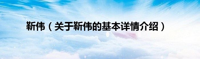 靳伟（关于靳伟的基本详情介绍）
