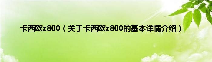 卡西欧z800（关于卡西欧z800的基本详情介绍）