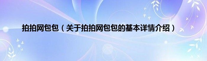 拍拍网包包（关于拍拍网包包的基本详情介绍）