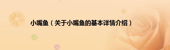小嘴鱼(关于小嘴鱼的基本详情介绍)