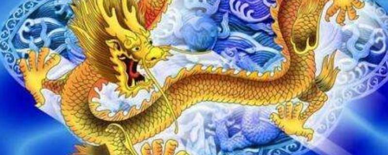 五花八门打一生肖