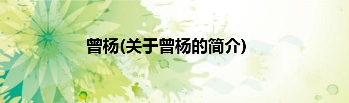 曾杨(关于曾杨的简介)