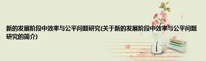 新的发展阶段中效率与公平问题研究(关于新的发展阶段中效率与公平问题研究的简介)