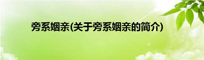 旁系姻亲(关于旁系姻亲的简介)