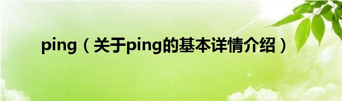 ping（关于ping的基本详情介绍）
