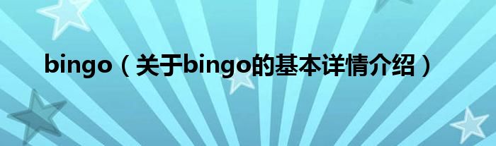 bingo（关于bingo的基本详情介绍）