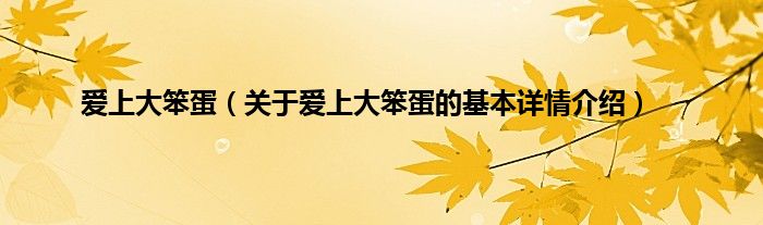爱上大笨蛋（关于爱上大笨蛋的基本详情介绍）