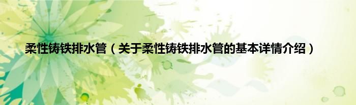 柔性铸铁排水管（关于柔性铸铁排水管的基本详情介绍）
