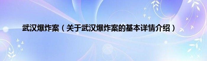 武汉爆炸案（关于武汉爆炸案的基本详情介绍）