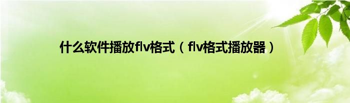 什么软件播放flv格式（flv格式播放器）