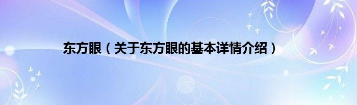 东方眼（关于东方眼的基本详情介绍）