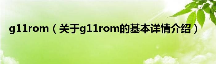 g11rom(关于g11rom的基本详情介绍)