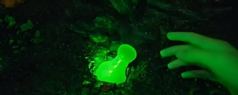 凡人修仙传韩立宝物排名