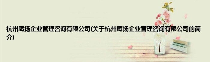 杭州鹰扬企业管理咨询有限公司(关于杭州鹰扬企业管理咨询有限公司的简介)