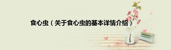 食心虫（关于食心虫的基本详情介绍）
