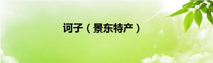 诃子（景东特产）