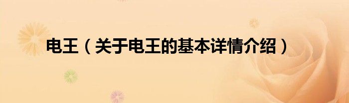 电王(关于电王的基本详情介绍)