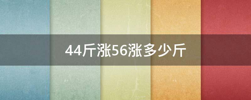 44斤涨56涨多少斤
