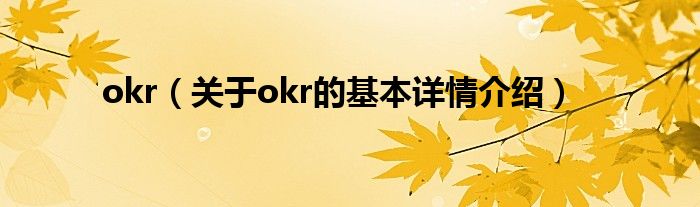 okr（关于okr的基本详情介绍）