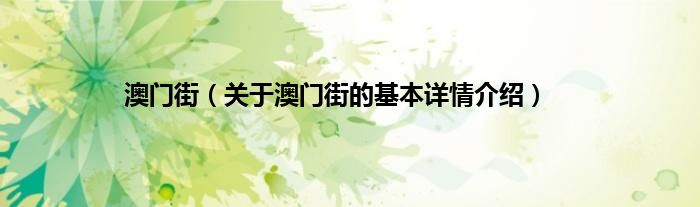 澳门街（关于澳门街的基本详情介绍）