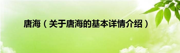 唐海（关于唐海的基本详情介绍）