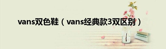 vans双色鞋(vans经典款3双区别)