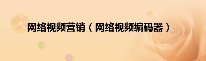 网络视频营销（网络视频编码器）
