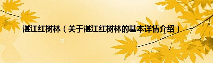 湛江红树林（关于湛江红树林的基本详情介绍）